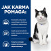 Hill's PD i/d digestive care, chicken,dla kota 3 kg - Galeria zdjęcie 4