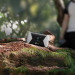 TP-LINK router mobilny M7450 (LTE WiFi 2,4/5GHz) - Galeria zdjęcie 3