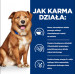 HILL'S Prescription Diet Derm Complete - sucha karma dla psa - 1,5 kg - Galeria zdjęcie 4