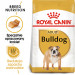 ROYAL CANIN BHN Bulldog Adult - sucha karma dla psa dorosłego - 12 kg - Galeria zdjęcie 2