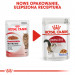ROYAL CANIN FHN Instinctive w galaretce - mokra karma dla kota dorosłego - 12x85 g - Galeria zdjęcie 7