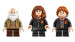 LEGO HARRY POTTER 76442 Zamek Hogwart: Zajęcia z zaklęć i uroków - Galeria zdjęcie 8