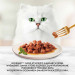 GOURMET GOLD Kurczak i wątróbka w sosie - mokra karma dla kota - 12x85 g - Galeria zdjęcie 4