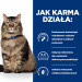 HILL'S Prescription Diet Gastrointestinal Biome z kurczakiem - sucha karma dla kota - 1,5 kg - Galeria zdjęcie 4