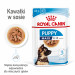 ROYAL CANIN SHN Maxi Puppy w sosie - mokra karma dla szczeniąt - 10x140 g - Galeria zdjęcie 11
