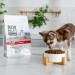 VetExpert Raw Paleo Ultra Wołowina Mini Puppy 750g - Galeria zdjęcie 5