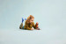LEGO HARRY POTTER 76448 FAWKES™: DUMBLEDORE'S PHOENIX - Galeria zdjęcie 7