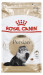 Royal Canin FBN Persian Adult - sucha karma dla kota dorosłego - 4 kg - Galeria zdjęcie 3