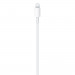 Apple USB-C to Lightning Cable (2 m) - Galeria zdjęcie 3