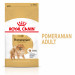 ROYAL CANIN BHN Pomeranian Adult - sucha karma dla psa dorosłego - 3kg - Galeria zdjęcie 3