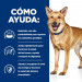 HILL'S Prescription Diet Canine Digestive Care i/­­d - sucha karma dla psa - 12kg + 2x przysmak GRATIS! - Galeria zdjęcie 3