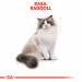ROYAL CANIN Ragdoll FBN Adult - sucha karma dla kota - 400g - Galeria zdjęcie 3