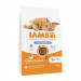 IAMS Advanced Nutrition Light/Sterilised - sucha karma dla kota ze świeżym kurczakiem - 10 kg - Galeria zdjęcie 1