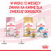 Royal Canin FHN Kitten Instinctive w galaretce - mokra karma dla kociąt - 12x85 g - Galeria zdjęcie 6