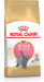 Royal Canin FBN British Shorthair Kitten - sucha karma dla kociąt - 2 kg - Galeria zdjęcie 2
