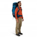 Plecak trekkingowy OSPREY Atmos AG LT 65 czarny L/XL - Galeria zdjęcie 9