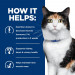 HILL'S Prescription Diet Thyroid Care Feline y/d - karma dla kota z chorą tarczycą - puszka 6x156g - Galeria zdjęcie 5