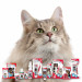 BEAPHAR Dental Easy Treat - przysmak dla kota - 35 g - Galeria zdjęcie 5