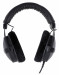 Beyerdynamic DT 770 PRO 250 OHM BLACK LIMITED EDITION - Słuchawki studyjne zamknięte - Galeria zdjęcie 2