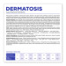 VET EXPERT Veterinary Diet Dermatosis Dog Salmon & Potato - sucha karma dla psa - 12kg - Galeria zdjęcie 4