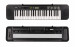 CASIO CTK-240 - Keyboard - Galeria zdjęcie 10