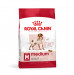 ROYAL CANIN SHN Adult Medium - sucha karma dla psa - 4 kg - Galeria zdjęcie 1