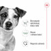ROYAL CANIN Adult Mini S - sucha karma dla psa - 2 kg - Galeria zdjęcie 6