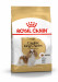 ROYAL CANIN BHN Cavalier King Charles Spaniel Adult - sucha karma dla psa dorosłego - 1,5kg - Galeria zdjęcie 1