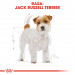 ROYAL CANIN BHN Jack Russell Terrier Adult - sucha karma dla psa dorosłego - 7,5 kg - Galeria zdjęcie 4