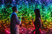 Inteligentne lampki choinkowe Twinkly 600 RGB 48m - Galeria zdjęcie 10