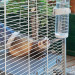 FERPLAST Furet Tower - klatka dla fretek - Galeria zdjęcie 10