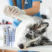 JM SANTE Polisept Vet Wound gel Silver Pro - żelowy opatrunek dla psa i kota - 30 ml - Galeria zdjęcie 3