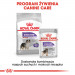 ROYAL CANIN CCN Medium Sterilised - sucha karma dla psa - 3 kg - Galeria zdjęcie 8
