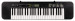 CASIO CTK-240 - Keyboard - Galeria zdjęcie 1
