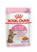 ROYAL CANIN FHN Kitten Sterilised w galaretce - mokra karma dla kociąt - 12x85g - Galeria zdjęcie 1