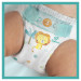 08006540032688_81753114_ECOMMERCECONTENT_SECONDARYIMAGE_TOPDOWN_CENTER_1_Pampers.jpg