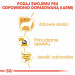 ROYAL CANIN BHN Yorkshire Terrier Adult - mokra karma dla psa dorosłego - 12x85 g - Galeria zdjęcie 7