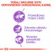 ROYAL CANIN FHN Regular Sterilised 37 - sucha karma dla kota dorosłego - 10 kg - Galeria zdjęcie 7