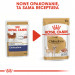 ROYAL CANIN BHN Chihuahua Adult - mokra karma dla psa dorosłego - 12x85 g - Galeria zdjęcie 9