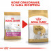 ROYAL CANIN BHN West Highland White Terrier Adult - sucha karma dla psa dorosłego - 3kg - Galeria zdjęcie 8