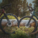 Rower gravel VAAST 700C APEX GRX 52cm S Gloss Berry Red - Galeria zdjęcie 3