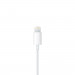 Apple EarPods ze złączem Lightning MMTN2ZM/A 1Y - Galeria zdjęcie 5