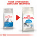 ROYAL CANIN Indoor 27 Adult - sucha karma dla kota - 400g - Galeria zdjęcie 7