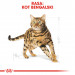 ROYAL CANIN Bengal Adult - sucha karma dla dorosłego kota - 2 kg - Galeria zdjęcie 5