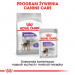 ROYAL CANIN CCN MINI STERILISED - sucha karma dla psa dorosłego - 3kg - Galeria zdjęcie 9