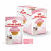 Royal Canin FHN Kitten Instinctive w galaretce - mokra karma dla kociąt - 12x85 g - Galeria zdjęcie 4