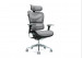 Ergonomiczny fotel biurowy ERGO 700 szary - Galeria zdjęcie 1