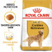 ROYAL CANIN BHN Golden Retriever - sucha karma dla psa dorosłego - 12 kg - Galeria zdjęcie 2