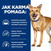HILL'S Prescription Diet Digestive Care i/d Kurczak z warzywami - mokra karma dla psa - 354 g - Galeria zdjęcie 4