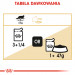 Royal Canin FBN Maine Coon Adult - mokra karma dla dorosłego kota - 12x85 g - Galeria zdjęcie 3